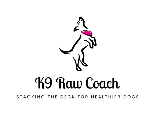 Optimal Puppy Nutrition: Why Choose Midwest Legacy Beef for Your Dog's Raw Diet