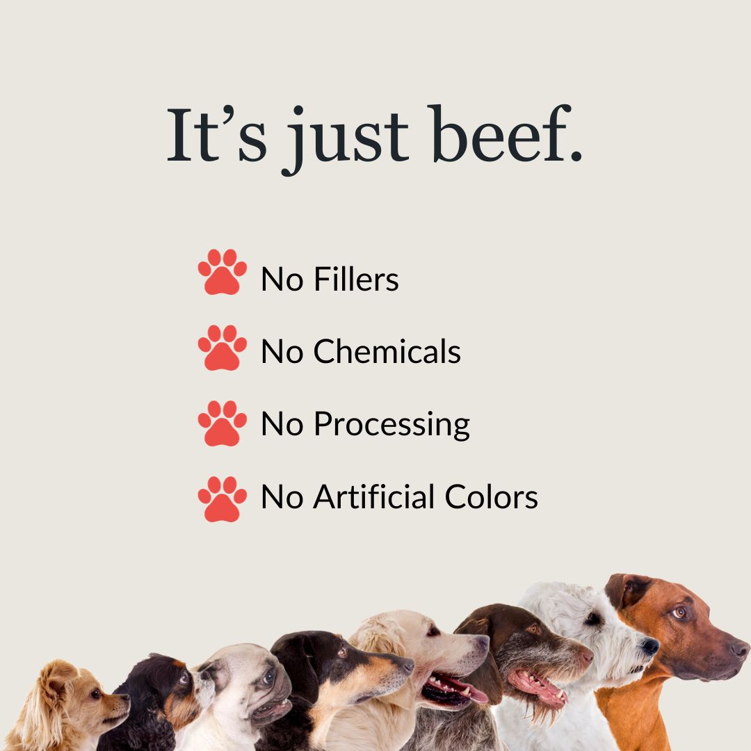 Freeze Dry - Raw Beef