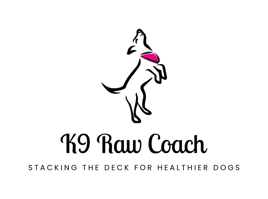 Optimal Puppy Nutrition: Why Choose Midwest Legacy Beef for Your Dog's Raw Diet