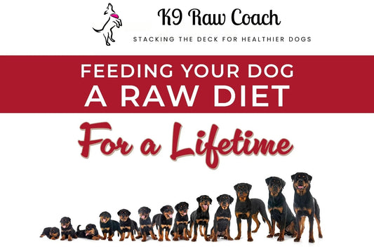 Feeding Your Dog a Raw Diet for a Lifetime