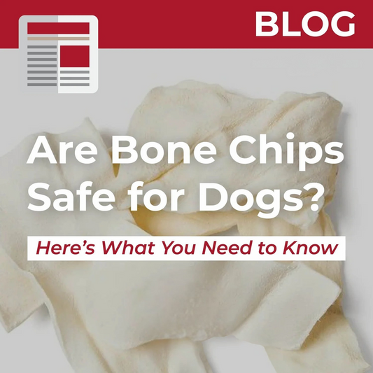 Are Bone Chips Safe for Dogs? Here’s What You Need to Know